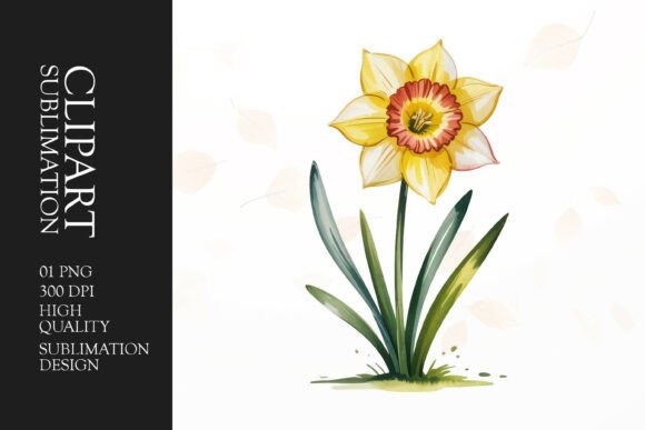 Download Single Daffodil Clipart PNG - Daffodil clipart Collection