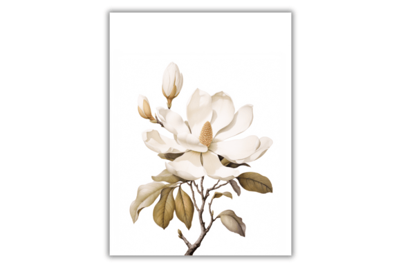 Download Watercolor Magnolia Flower- Art Print - Print Collection