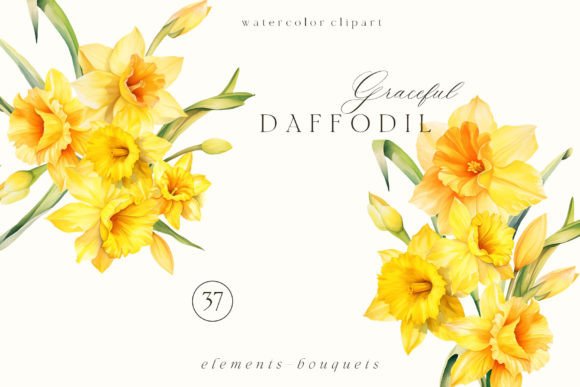 Download Watercolor Daffodil Clipart PNG - Daffodil clipart Collection