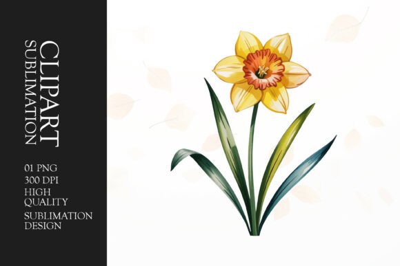Download Daffodil Clipart PNG - Daffodil clipart Collection