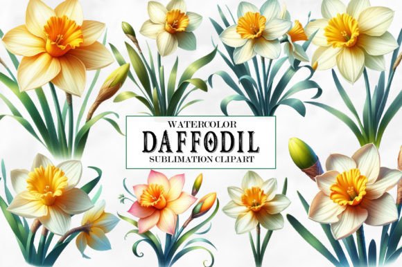 Download Watercolor Daffodil Clipart - Daffodil clipart Collection