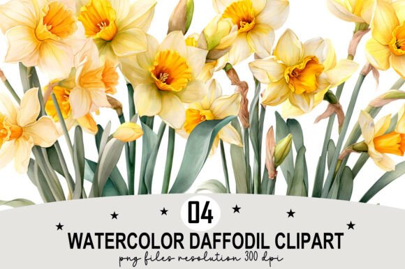 Download Watercolor Daffodil Clipart - Daffodil clipart Collection