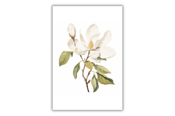 Download Watercolor Magnolia Flower- Art Print - Print Collection
