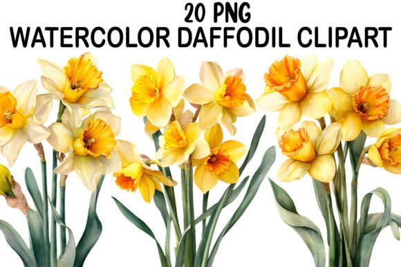 Download Watercolor Daffodil Clipart - Daffodil clipart Collection
