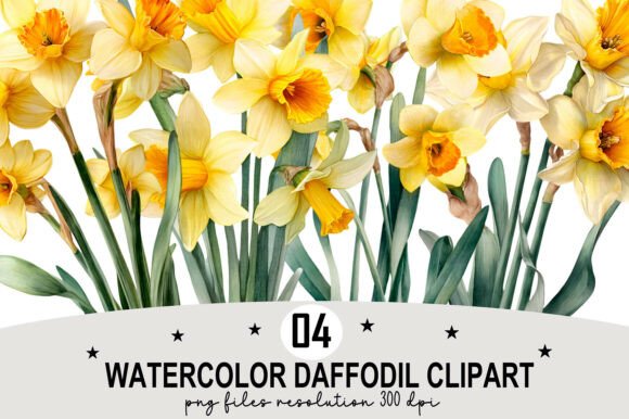 Download Watercolor Daffodil Clipart - Daffodil clipart Collection