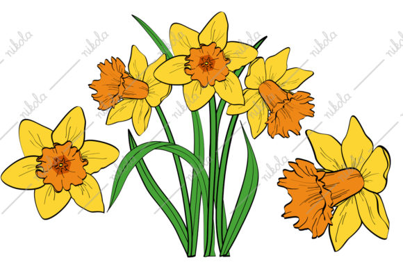 Download Daffodil Clipart Cricut - Daffodil clipart Collection
