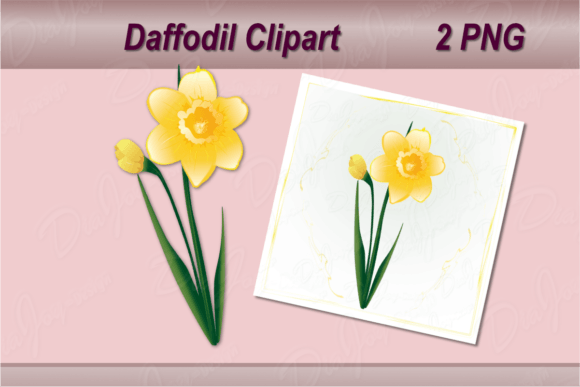 Download Daffodil Clipart with Square Card - Daffodil clipart Collection