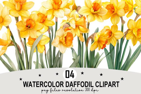 Download Watercolor Daffodil Clipart - Daffodil clipart Collection