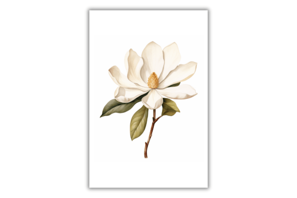 Download Watercolor Magnolia Flower- Art Print - Print Collection